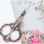 1Pcs European Retro Rose Golden Stainless Steel Nail Scissors Dead Skin Remover Makeup Cutter Multi-Function Manicure Tool Te#67