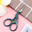 Nail Cuticle Scissors Dead Skin Remover Manicure Scissors Cuticle Clippers Trimmer Nippers Stainless Steel Pedicure Cutters Tool